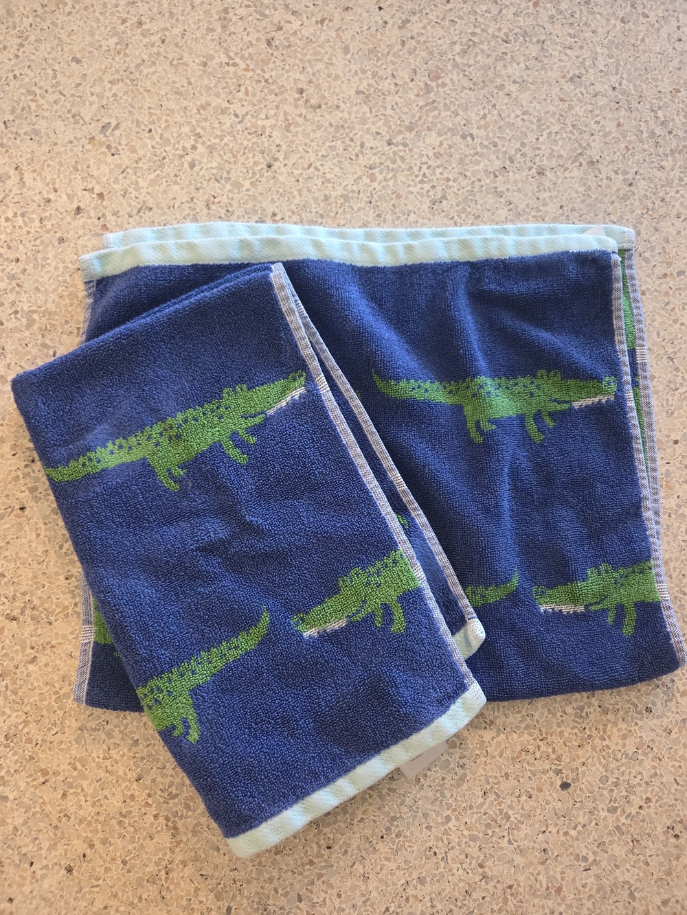 Pottery Barn Kids Blue & Green Alligator Hand Towel Set Of 2 Towels 100% Cotton